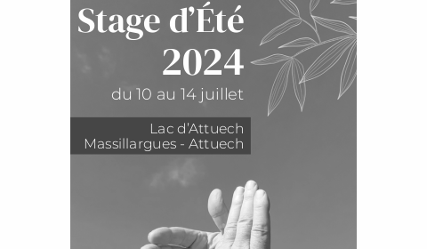 Stage d'été 2024 du 10 au 14 juillet - Programme et modalités d'inscription